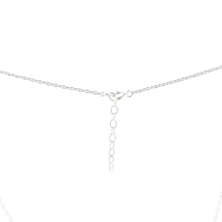 Collier médaille hugo 2